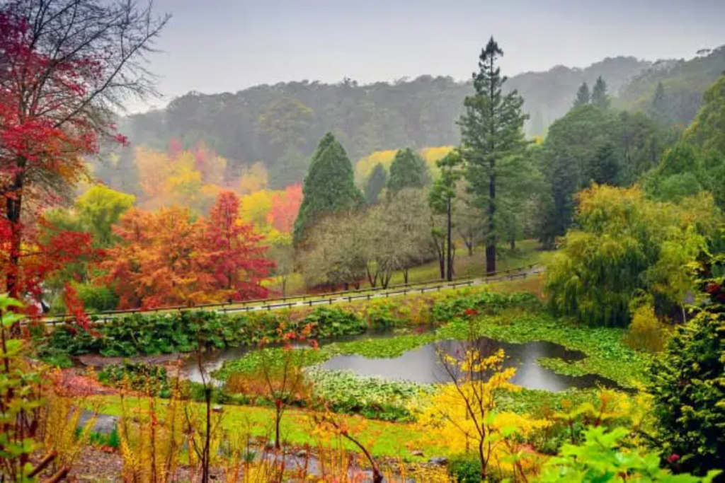 Adelaide Hills