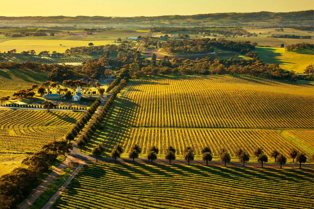 Barossa Valley