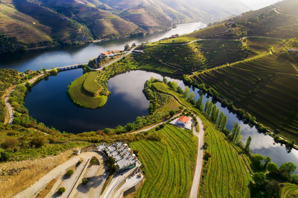 Douro Valley: The Scenic Wine Region