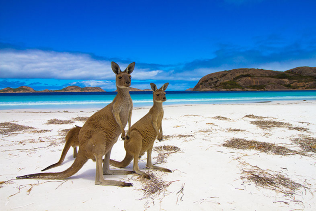 Kangaroo Island