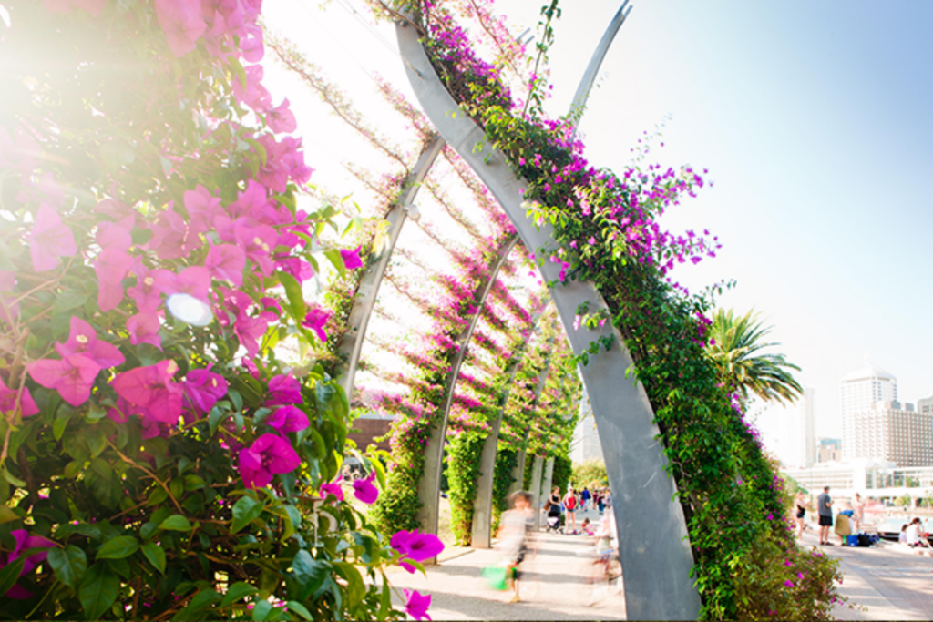 South Bank Parklands