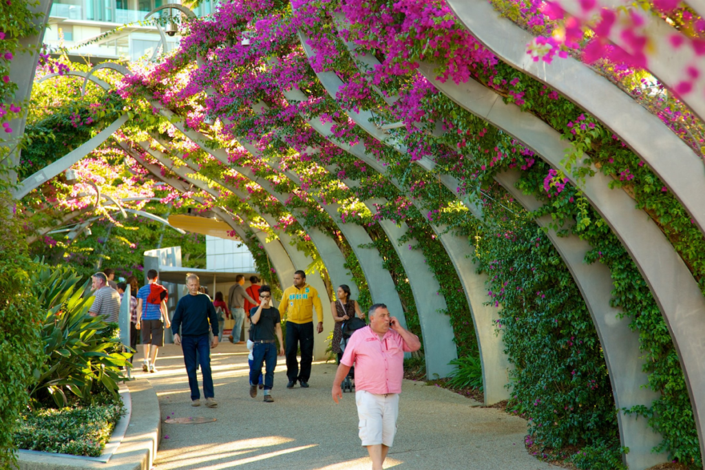 South Bank Parklands